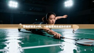 警惕肥猪流VPN，一种新型网络威胁的解析