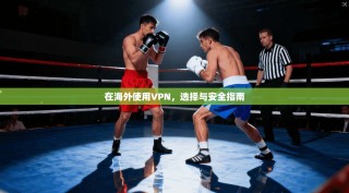 在海外使用VPN，选择与安全指南