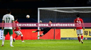 飞龙VPN充值指南，如何快速、安全地为您的账号充值