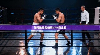 如何选择和使用VPN安全码