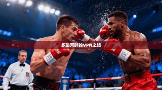 多瑙河畔的VPN之旅