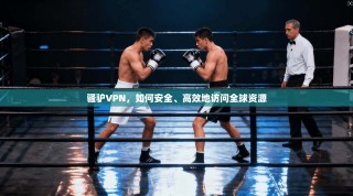 骚驴VPN，如何安全、高效地访问全球资源