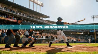 土豆 VPN，网络世界中的金钥匙