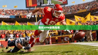 西风VPN使用指南