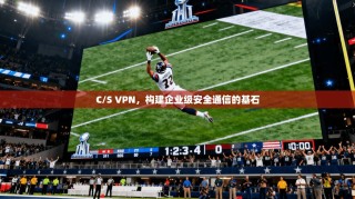 C/S VPN，构建企业级安全通信的基石