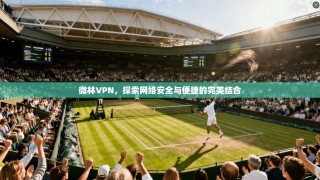 微林VPN，探索网络安全与便捷的完美结合