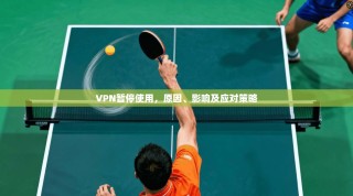 VPN暂停使用，原因、影响及应对策略