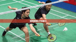 如何查看VPN端口