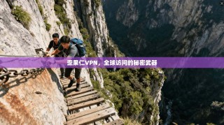 歪果仁VPN，全球访问的秘密武器