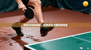 东风VPN与谷歌，探索安全与便利的结合