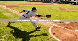 VPN微云资源，安全、高效访问远程办公的钥匙