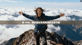 桃 VPN，探索虚拟专用网络的无限可能