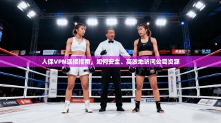 人保VPN连接指南，如何安全、高效地访问公司资源