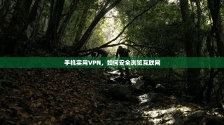 手机实用VPN，如何安全浏览互联网