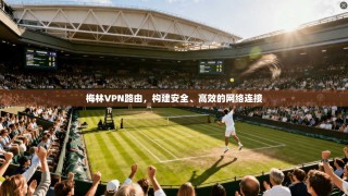 梅林VPN路由，构建安全、高效的网络连接