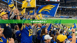 小米VPN是什么？