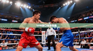 VPN端口接法指南