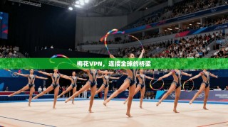 梅花VPN，连接全球的桥梁