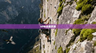 VPN卡通农场