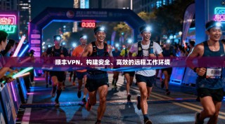 顺丰VPN，构建安全、高效的远程工作环境