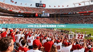 VPN:什么是虚拟专用网络（VPN）