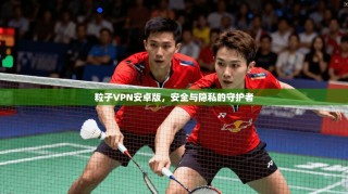 粒子VPN安卓版，安全与隐私的守护者