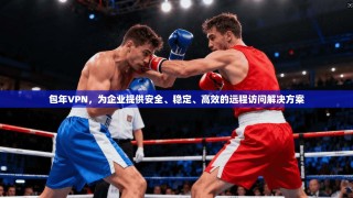 包年VPN，为企业提供安全、稳定、高效的远程访问解决方案