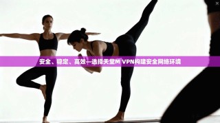 安全、稳定、高效—选择天堂M VPN构建安全网络环境