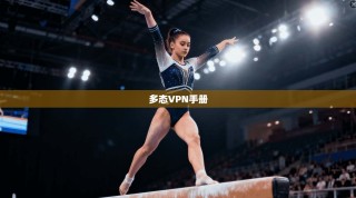 多态VPN手册