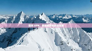 国际 VPN，跨越国界的网络连接