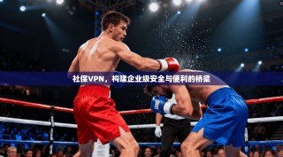 社保VPN，构建企业级安全与便利的桥梁