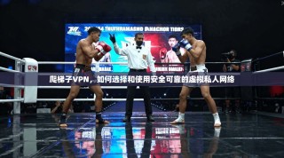 爬梯子VPN，如何选择和使用安全可靠的虚拟私人网络