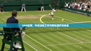 VPN应用，开启远程工作与隐私保护的桥梁