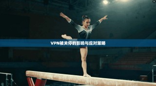 VPN被关停的影响与应对策略