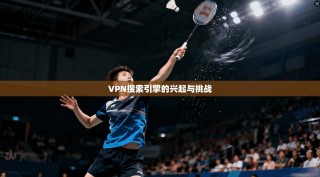 VPN搜索引擎的兴起与挑战
