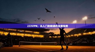 233VPN，从入门到精通的全面指南