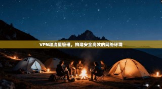 VPN和流量管理，构建安全高效的网络环境