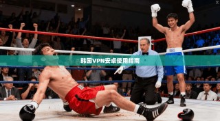 韩国VPN安卓使用指南