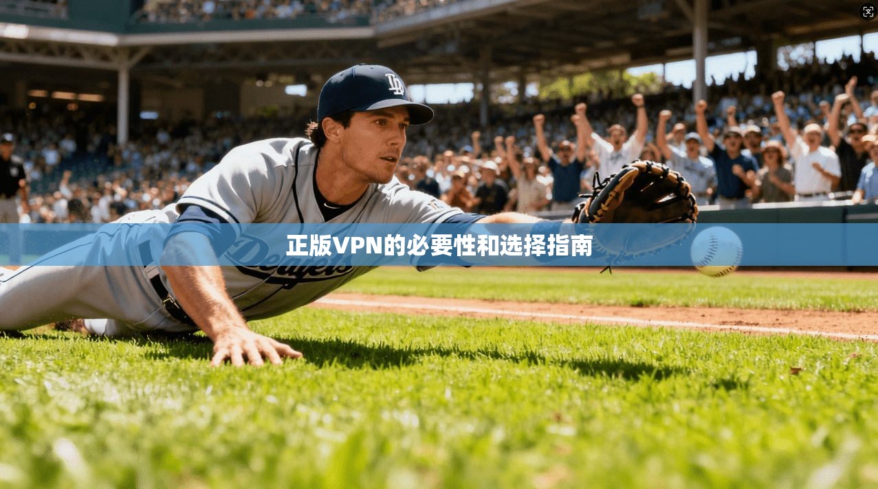 正版VPN的必要性和选择指南  第1张