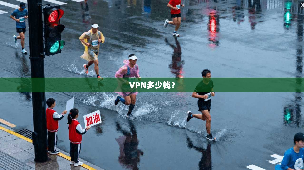 VPN多少钱？  第1张