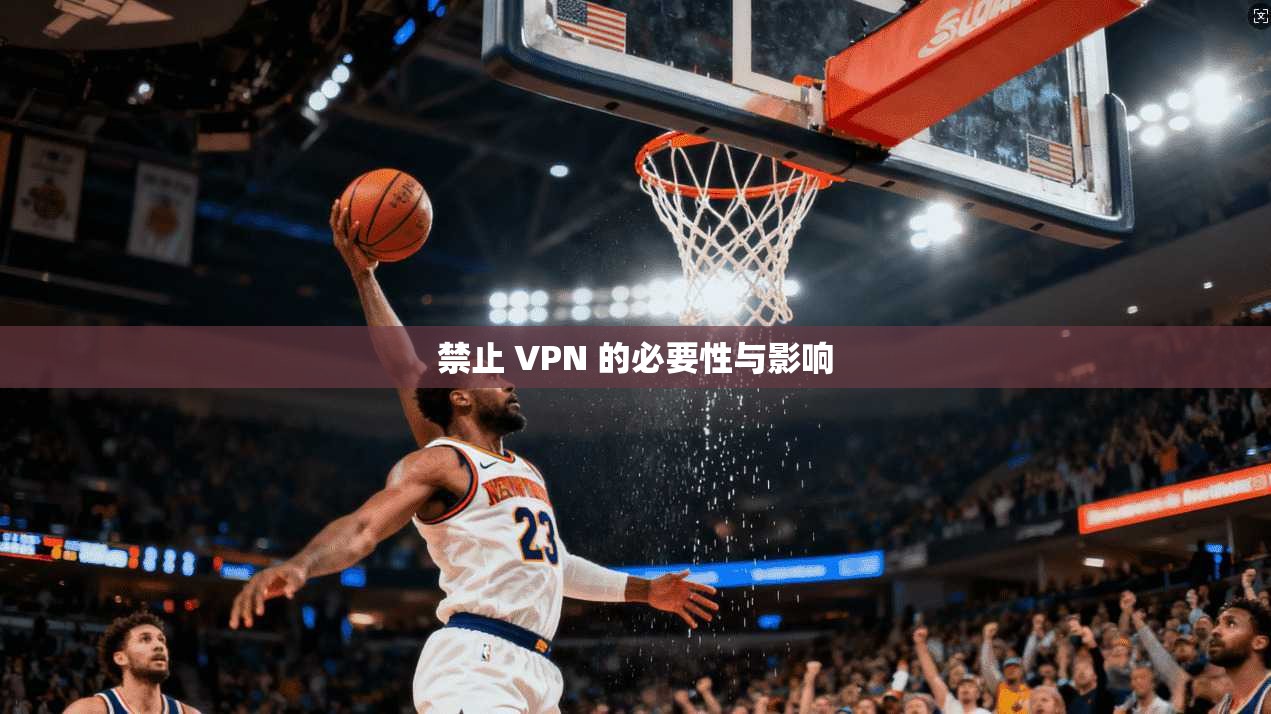 禁止 VPN 的必要性与影响  第1张