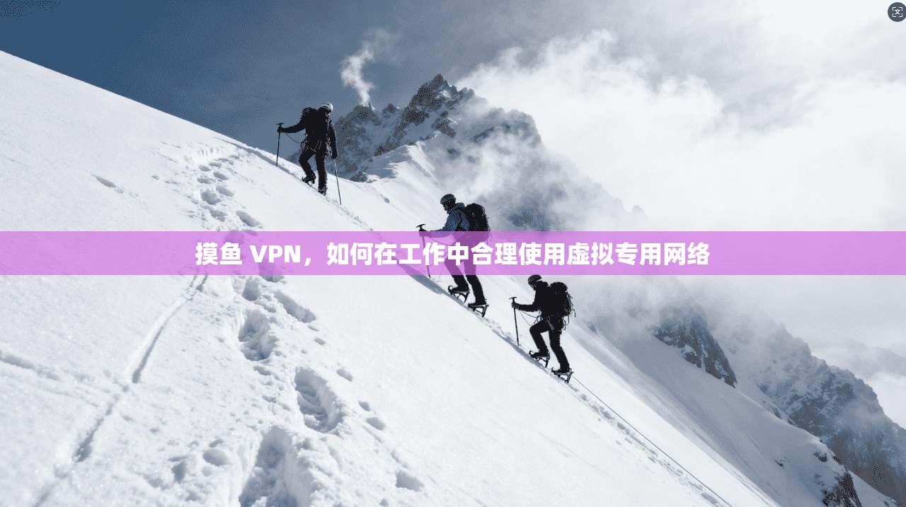 摸鱼 VPN,如何在工作中合理使用虚拟专用网络 第1张 摸鱼 VPN,如何在工作中合理使用虚拟专用网络 第1张