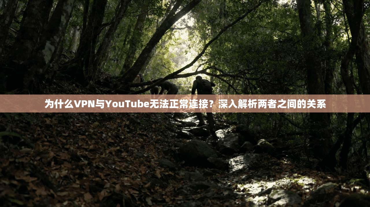 为什么VPN与YouTube无法正常连接?深入解析两者之间的关系 第1张 为什么VPN与YouTube无法正常连接?深入解析两者之间的关系 第1张