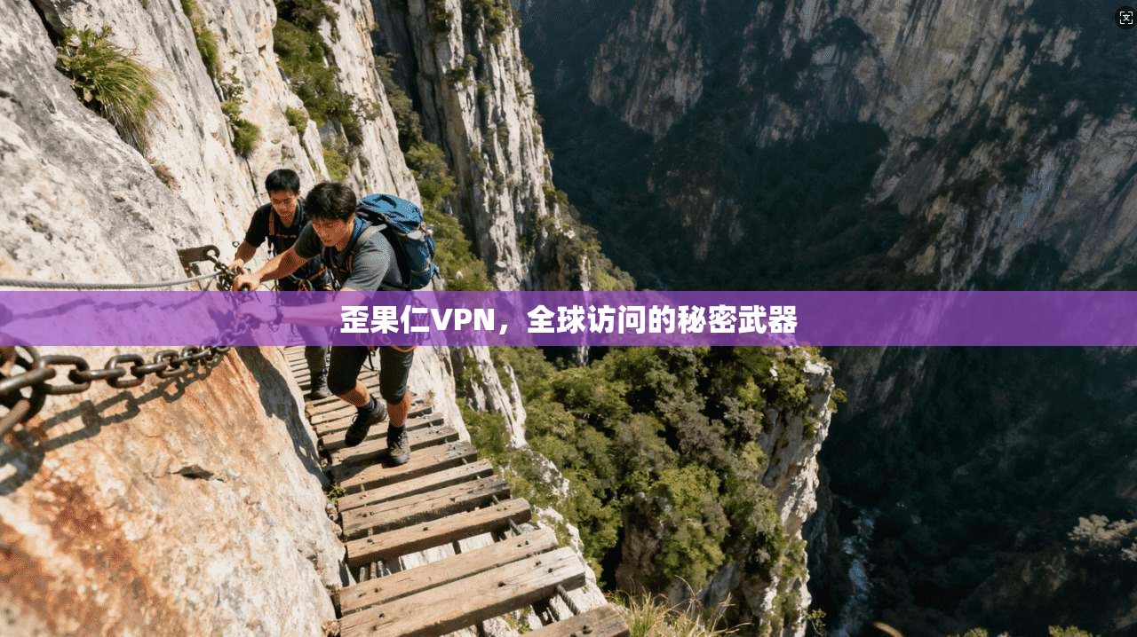 歪果仁VPN，全球访问的秘密武器  第1张