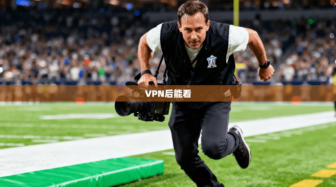 VPN后能看 第1张 VPN后能看 第1张