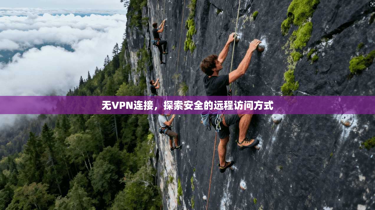无VPN连接，探索安全的远程访问方式  第1张