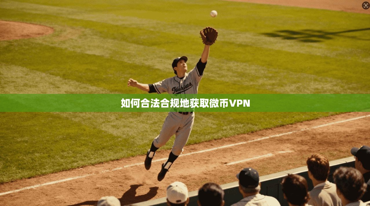 如何合法合规地获取微币VPN  第1张