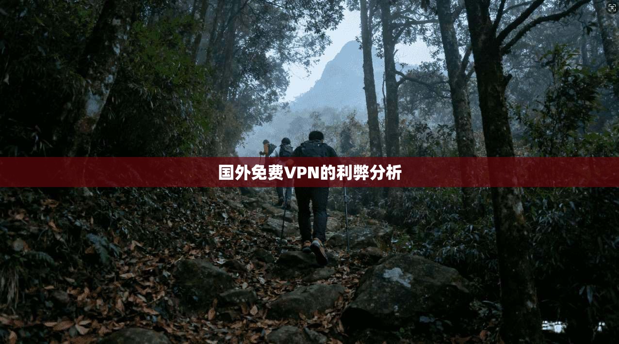 国外免费VPN的利弊分析 第1张 国外免费VPN的利弊分析 第1张