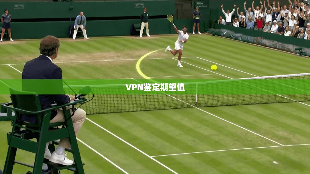 VPN鉴定期望值 第1张 VPN鉴定期望值 第1张