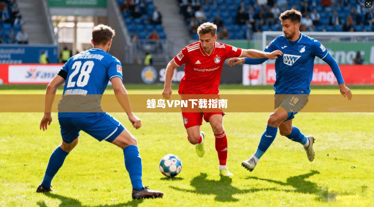 蜂鸟VPN下载指南  第1张